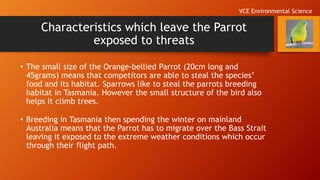 Characteristics which leave the Parrot
exposed to threats
• The small size of the Orange-bellied Parrot (20cm long and
45grams) means that competitors are able to steal the species’
food and its habitat. Sparrows like to steal the parrots breeding
habitat in Tasmania. However the small structure of the bird also
helps it climb trees.
• Breeding in Tasmania then spending the winter on mainland
Australia means that the Parrot has to migrate over the Bass Strait
leaving it exposed to the extreme weather conditions which occur
through their flight path.
VCE Environmental Science
 
