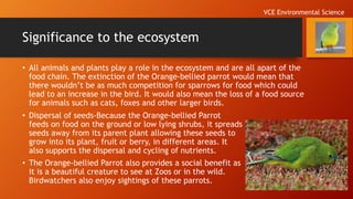 Significance to the ecosystem
• All animals and plants play a role in the ecosystem and are all apart of the
food chain. The extinction of the Orange-bellied parrot would mean that
there wouldn’t be as much competition for sparrows for food which could
lead to an increase in the bird. It would also mean the loss of a food source
for animals such as cats, foxes and other larger birds.
• Dispersal of seeds-Because the Orange-bellied Parrot
feeds on food on the ground or low lying shrubs, it spreads
seeds away from its parent plant allowing these seeds to
grow into its plant, fruit or berry, in different areas. It
also supports the dispersal and cycling of nutrients.
• The Orange-bellied Parrot also provides a social benefit as
it is a beautiful creature to see at Zoos or in the wild.
Birdwatchers also enjoy sightings of these parrots.
VCE Environmental Science
 