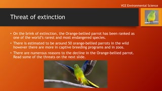 Threat of extinction
• On the brink of extinction, the Orange-bellied parrot has been ranked as
one of the world’s rarest and most endangered species.
• There is estimated to be around 50 orange-bellied parrots in the wild
however there are more in captive breeding programs and in zoos.
• There are numerous reasons to the decline in the Orange-bellied parrot.
Read some of the threats on the next slide.
VCE Environmental Science
 