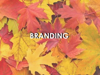 BRANDINGBRANDING
 