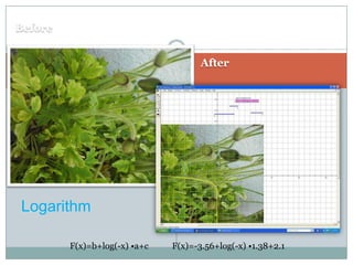 BeforeAfterLogarithmF(x)=b+log(-x)•a+c           F(x)=-3.56+log(-x) •1.38+2.1 