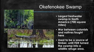 Okefenokee Swamp
▪ Largest freshwater
swamp in North
America (700 square
miles)
▪ War between colonists
and natives fought
here
▪ Used to be a source of
timber, until FDR turned
the swamp into a
wildlife refuge area.
 
