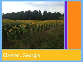 Clayton, Georgia
 