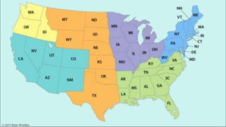 © 2015 Brain Wrinkles
 