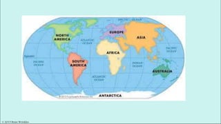 © 2015 Brain Wrinkles
 