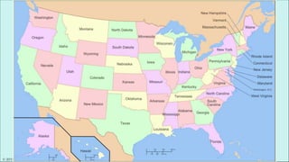 © 2015 Brain Wrinkles
 