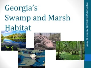 Georgia’s
Swamp and Marsh
Habitat
ImportantQuestionsandAnswerstoKnow!
 