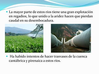  La mayor parte de estos ríos tiene una gran explotación
 en regadíos, lo que unido a la aridez hacen que pierdan
 caudal en su desembocadura.




 Ha habido intentos de hacer trasvases de la cuenca
 cantábrica y pirenaica a estos ríos.
 