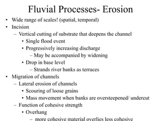 Fluvial Processes- Erosion
• Wide range of scales! (spatial, temporal)
• Incision
– Vertical cutting of substrate that deepens the channel
• Single flood event
• Progressively increasing discharge
– May be accompanied by widening
• Drop in base level
– Strands river banks as terraces
• Migration of channels
– Lateral erosion of channels
• Scouring of loose grains
• Mass movement when banks are oversteepened/ undercut
– Function of cohesive strength
• Overhang
– more cohesive material overlies less cohesive
 