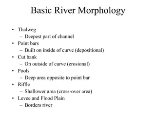 Basic River Morphology
• Thalweg
– Deepest part of channel
• Point bars
– Built on inside of curve (depositional)
• Cut bank
– On outside of curve (erosional)
• Pools
– Deep area opposite to point bar
• Riffle
– Shallower area (cross-over area)
• Levee and Flood Plain
– Borders river
 