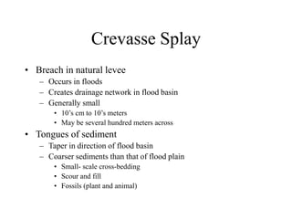 Crevasse Splay
• Breach in natural levee
– Occurs in floods
– Creates drainage network in flood basin
– Generally small
• 10’s cm to 10’s meters
• May be several hundred meters across
• Tongues of sediment
– Taper in direction of flood basin
– Coarser sediments than that of flood plain
• Small- scale cross-bedding
• Scour and fill
• Fossils (plant and animal)
 