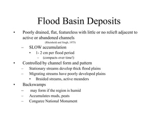 Flood Basin Deposits
• Poorly drained, flat, featureless with little or no relieft adjacent to
active or abandoned channels
(Rheinhold and Singh, 1975)
– SLOW accumulation
• 1- 2 cm per flood period
– (compacts over time!)
• Controlled by channel form and pattern
– Stationary streams develop thick flood plains
– Migrating streams have poorly developed plains
• Braided streams, active meanders
• Backswamps
– may form if the region is humid
– Accumulates muds, peats
– Congaree National Monument
 