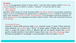 Il mare
Il mare è una gigantesca distesa d’ acqua salata. I mari più estesi vengono definiti oceani. La
costa è il punto in cui la terra e il mare si “uniscono”. Ci sono due tipi di coste:
 alte e rocciose
 basse sabbiose
Quando le onde scavano la roccia formando delle insenature. La baia è una piccola insenatura;
invece il golfo è un’insenatura più grande dove si costruiscono i porti. Il tratto di mare fra due
porti viene chiamato canale o stretto. Il promontorio è una sporgenza montuosa presente nel
mare. Una penisola è una sporgenza ad ampio tratto di terra. Tante isole ravvicinate formano
un arcipelago.
I movimenti del mare
Quando il vento soffia provoca delle onde. Quando invece il vento è forte provoca
onde altissime. Le correnti sono “fiumi” di acqua calda o fredda che scorrono nei
mari. L’ acqua del mare si alza e si abbassa ogni sei ore dando origine alle maree:
questo succede perché la luna attira l’acqua come una calamita. Le spiagge sono
formate da pezzetti di conchiglie e roccia portata sulla riva dalle correnti.
 