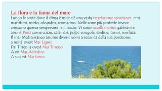 La flora e la fauna del mare
Lungo le coste dove il clima è mite c’è una vasta vegetazione spontanea: pini
marittimi, mirto, oleandro, rosmarino. Nelle zone più protette invece
crescono querce sempreverdi e il leccio. Vi sono uccelli marini: gabbiani e
aironi. Pesci come cozze, calamari, polpi, vongole, sardine, tonni, merluzzi.
Il mar Mediterraneo assume diversi nomi a seconda della sua posizione:
a nord ovest Mar Ligure
Dai Tirreni a ovest Mar Tirreno
A est Mar Adriatico
A sud est Mar Ionio
 