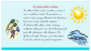 Il clima delle colline
In collina il clima è mite e asciutto, in inverno è
secco e ventilato in estate. In primavera e in
autunno cadono piogge abbondanti che alimentano i
brevi corsi d’acqua rendendoli impetuosi.
L’ambiente della collina è stato, col tempo,
modificato: molti pendii sono stati disboscati per far
posto alle coltivazioni e alle abitazioni. Per
sfruttare al meglio il terreno e per evitare frane,
l’uomo ha costruito dei grandi terrazzamenti.
 