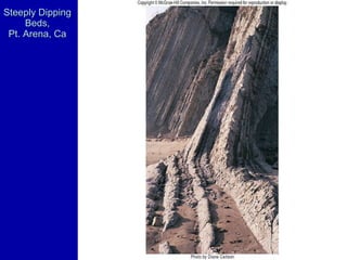Steeply Dipping Beds, Pt. Arena, Ca 