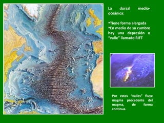 La dorsal medio-oceánica: Tiene forma alargada En medio de su cumbre hay una depresión o “valle” llamado RIFT Por estos “valles” fluye magma procedente del magma, de forma continua. 