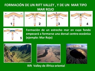 FORMACIÓN DE UN RIFT VALLEY , Y DE UN  MAR TIPO MAR ROJO 1  2 3  4  Rift  Valley de África oriental Formación de un estrecho mar en cuyo fondo empezará a formarse una dorsal centro-oceánica (ejemplo: Mar Rojo) 5 