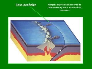 Fosa oceánica Alargada depresión en el borde de continentes o junto a arcos de islas volcánicas 