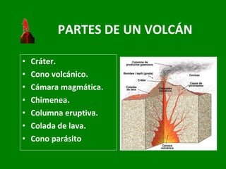 PARTES DE UN VOLCÁN Cráter. Cono volcánico. Cámara magmática. Chimenea. Columna eruptiva. Colada de lava. Cono parásito 