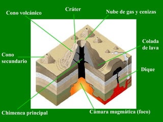 Cono   volcánico Cráter Cámara magmática (foco) Chimenea principal Dique Nube de gas y cenizas Cono secundario Colada de lava 