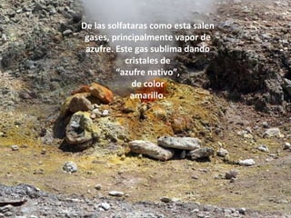 De las solfataras como esta salen gases, principalmente vapor de azufre. Este gas sublima dando cristales de “ azufre nativo”, de color amarillo. 