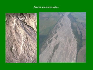 Cauces anastomosados
 