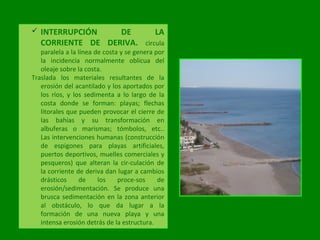  INTERRUPCIÓN DE LA
CORRIENTE DE DERIVA. circula
paralela a la línea de costa y se genera por
la incidencia normalmente oblicua del
oleaje sobre la costa.
Traslada los materiales resultantes de la
erosión del acantilado y los aportados por
los ríos, y los sedimenta a lo largo de la
costa donde se forman: playas; flechas
litorales que pueden provocar el cierre de
las bahías y su transformación en
albuferas o marismas; tómbolos, etc..
Las intervenciones humanas (construcción
de espigones para playas artificiales,
puertos deportivos, muelles comerciales y
pesqueros) que alteran la cir­culación de
la corriente de deriva dan lugar a cambios
drásticos de los proce­sos de
erosión/sedimentación. Se produce una
brusca sedimentación en la zona anterior
al obstáculo, lo que da lugar a la
formación de una nueva playa y una
intensa erosión detrás de la estructura.
 