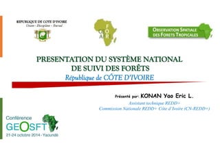 Présenté par: KONAN Yao Eric L. 
Assistant technique REDD+ 
Commission Nationale REDD+ Côte d’Ivoire (CN-REDD+) 
 