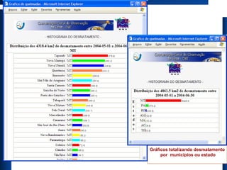 Gráficos totalizando desmatamento  por  municípios ou estado 