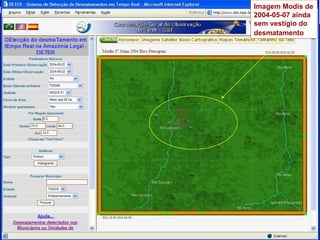 Imagem Modis de 2004-05-07 ainda sem vestígio do desmatamento   