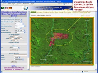 Imagem Modis de 2004-06-22, já com desmatamento bem realçado  