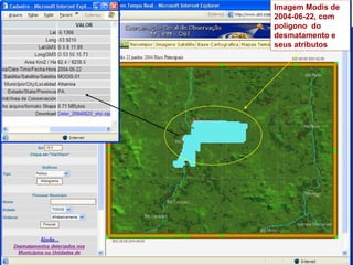 Imagem Modis de 2004-06-22, com polígono  do desmatamento e seus atributos  