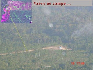 Vai-se ao campo ... 