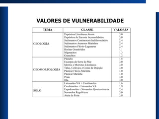 VALORES DE VULNERABILIDADE 