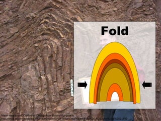 Fold Marin Headlands, California -- Image from Roland B ürgmann http://www.seismo.berkeley.edu/~burgmann/EPS116/labs/marin2004/Fold%20-%20John%20R%202.JPG Fold 