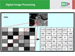 Digital Image Processing
PIXEL
 