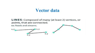 Vector data
 