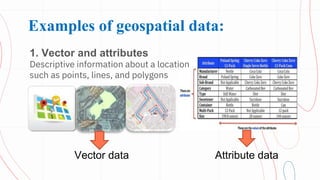 Attribute data
Examples of geospatial data:
1. Vector and attributes
Descriptive information about a location
such as poin...