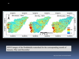 NDVI images of the Doddahalla watershed for the corresponding month of
January, May and December
IBK
https://www.linkedin.com/in/dribrahimbathisk/
 