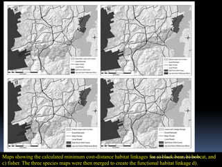 Maps showing the calculated minimum cost-distance habitat linkages for a) black bear, b) bobcat, and
c) fisher. The three species maps were then merged to create the functional habitat linkage d).
IBK
https://www.linkedin.com/in/dribrahimbathisk/
 