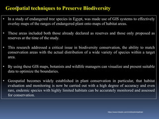 Geospatial techniques to Preserve Biodiversity
• In a study of endangered tree species in Egypt, was made use of GIS systems to effectively
overlay maps of the ranges of endangered plant onto maps of habitat areas.
• These areas included both those already declared as reserves and those only proposed as
reserves at the time of the study.
• This research addressed a critical issue in biodiversity conservation, the ability to match
conservation areas with the actual distribution of a wide variety of species within a target
area.
• By using these GIS maps, botanists and wildlife managers can visualize and present suitable
data to optimize the boundaries.
• Geospatial becomes widely established in plant conservation in particular, that habitat
evaluation and monitoring is now be carried out with a high degree of accuracy and even
rare, endemic species with highly limited habitats can be accurately monitored and assessed
for conservation.
IBK
https://www.linkedin.com/in/dribrahimbathisk/
 