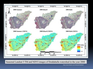 Seasonal Landsat 5 TM and NDVI images of Doddahalla watershed in the year 2000
IBK
https://www.linkedin.com/in/dribrahimbathisk/
 