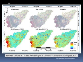 Seasonal Landsat 5 TM and NDVI images of Doddahalla watershed in the year 2014
IBK
https://www.linkedin.com/in/dribrahimbathisk/
 