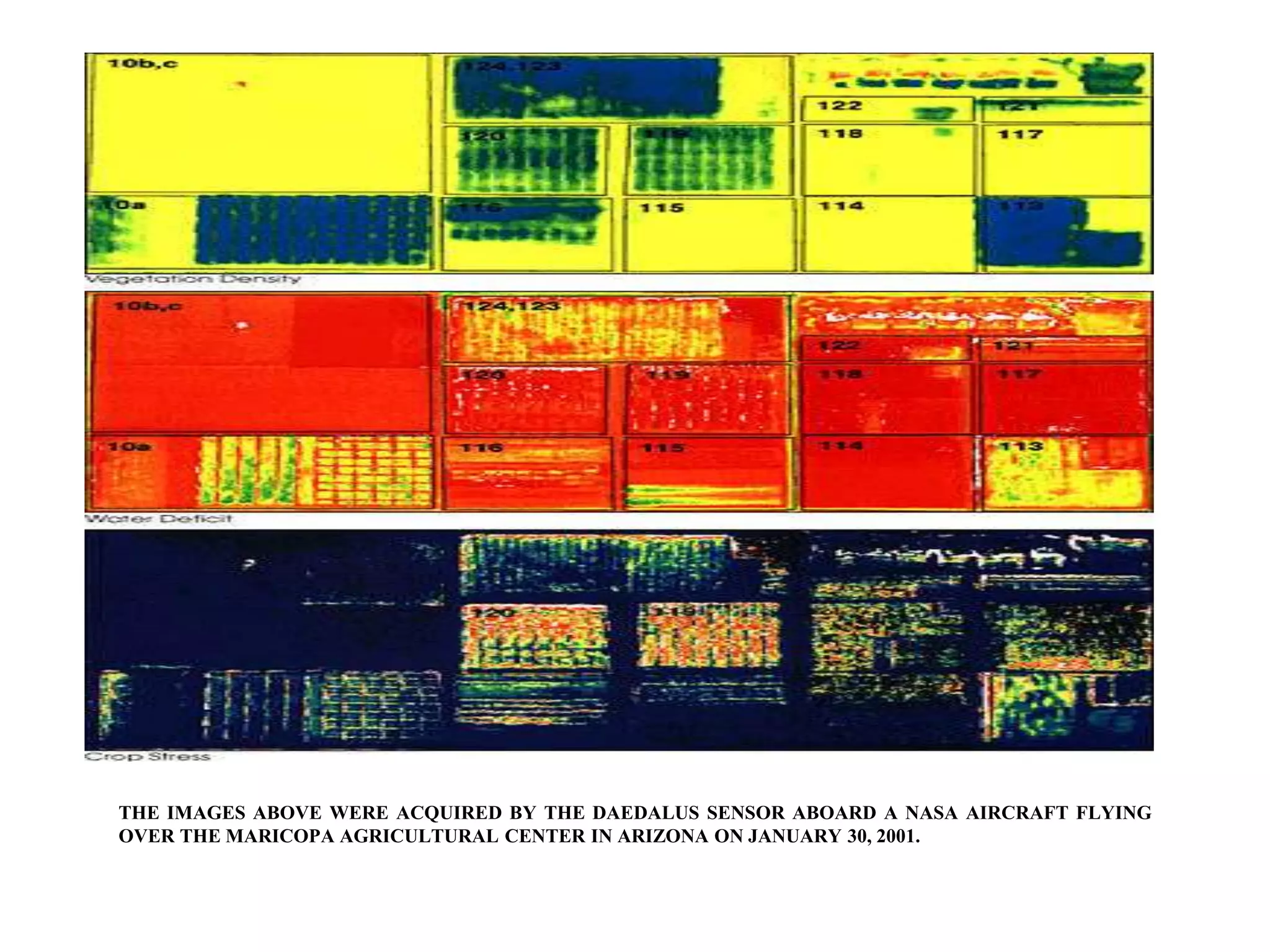 THE IMAGES ABOVE WERE ACQUIRED BY THE DAEDALUS SENSOR ABOARD A NASA AIRCRAFT FLYING
OVER THE MARICOPA AGRICULTURAL CENTER IN ARIZONA ON JANUARY 30, 2001.
 