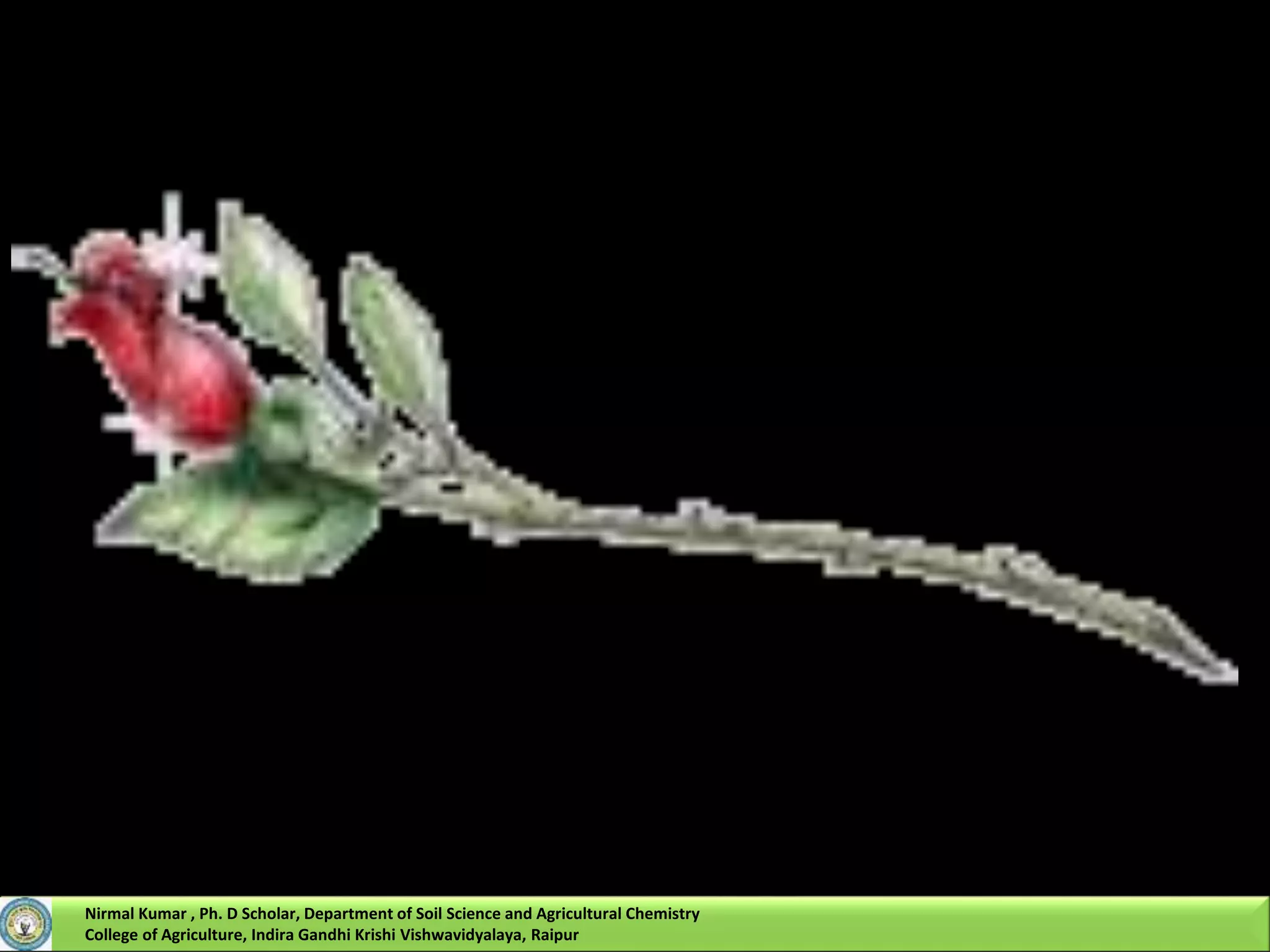 Nirmal Kumar , Ph. D Scholar, Department of Soil Science and Agricultural Chemistry
College of Agriculture, Indira Gandhi Krishi Vishwavidyalaya, Raipur
 