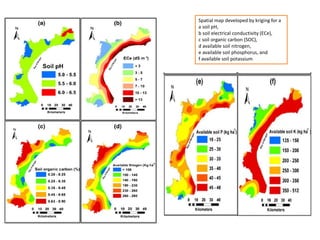 Spatial map developed by kriging for a
a soil pH,
b soil electrical conductivity (ECe),
c soil organic carbon (SOC),
d available soil nitrogen,
e available soil phosphorus, and
f available soil potassium
 