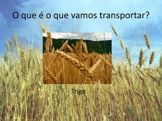 O que é o que vamos transportar?Trigo