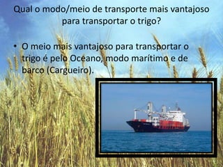 Qual o modo/meio de transporte mais vantajoso para transportar o trigo?O meio mais vantajoso para transportar o trigo é pelo Oceano, modo marítimo e de barco (Cargueiro).