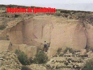 Los volcanes de Canarias
F. Anguita, A. Márquez,
P. Castiñeiras, F. Hernán
 